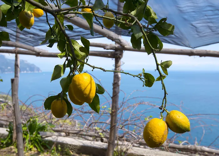 villa orleans Amalfi