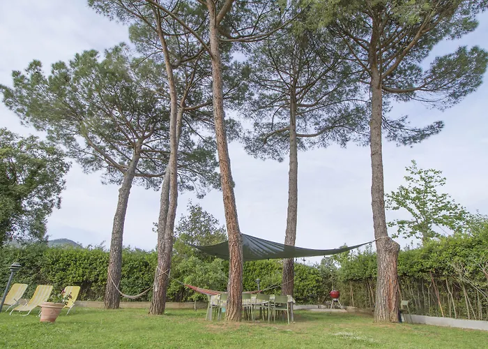 B&B Palazzi Firenze