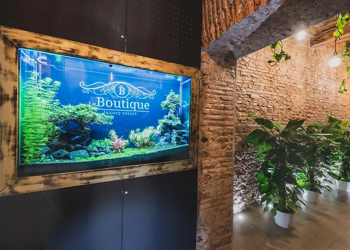 Le Boutique Luxury Rooms Diffused In Historical Center Fiumicino
