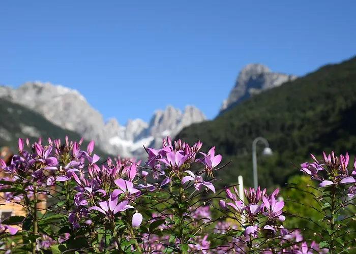 Residence Alpenrose Molveno
