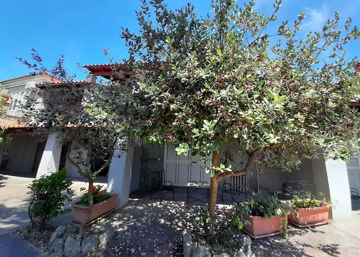Hotel Il Vitigno di Dioniso Forio di Ischia