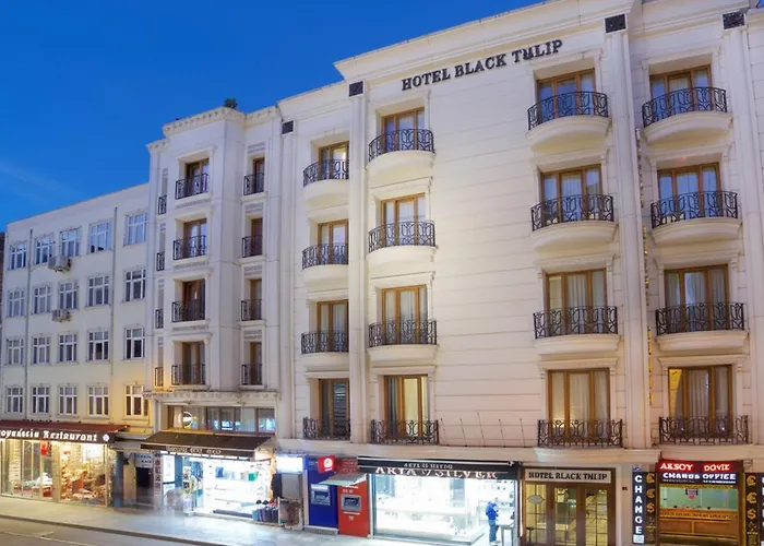 Hotel Black Tulip Provincia di Provincia di Istanbul