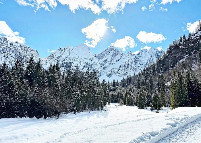 Hotel International Tarvisio