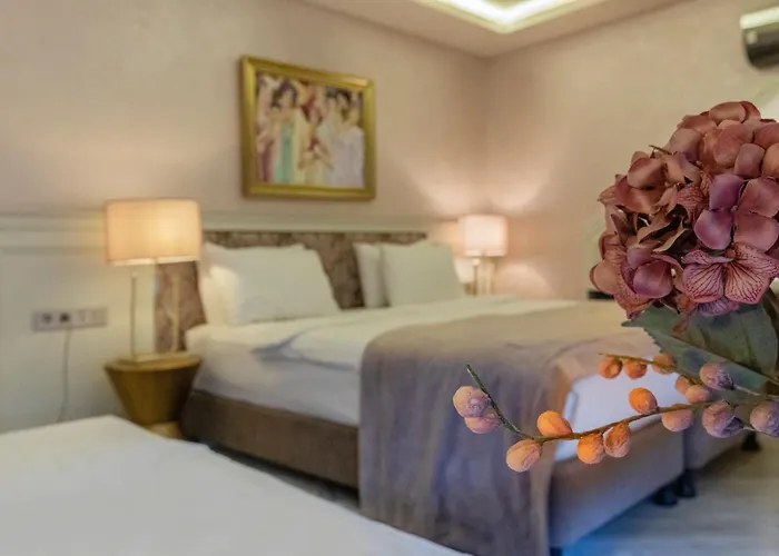 Ayramin Deluxe Hotel Taksim Provincia di Provincia di Istanbul