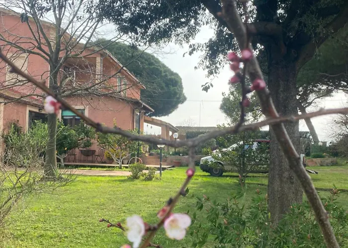 Bed and Breakfast Casa Diana Tarquinia