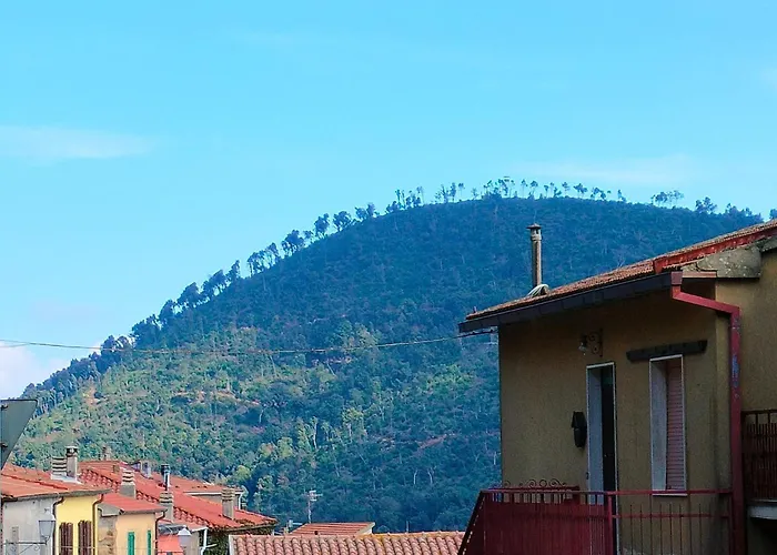 Alla Meria Castiglione della Pescaia