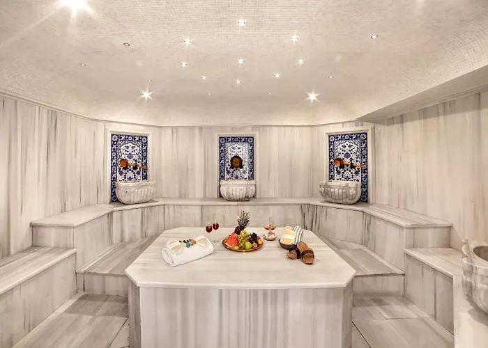 Almina Guest House Provincia di Provincia di Istanbul