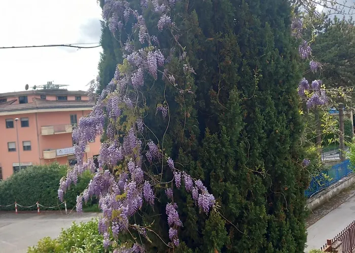 Maison Lavande LʼAquila
