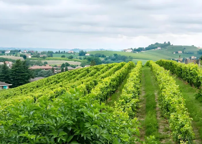 Bed and Breakfast Cascina Orlandi Costigliole d'Asti