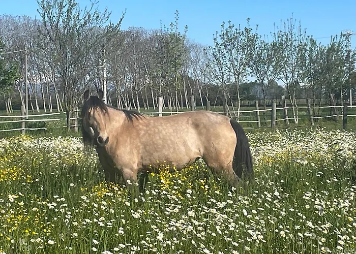 B&B Cm Ranch Cuneo