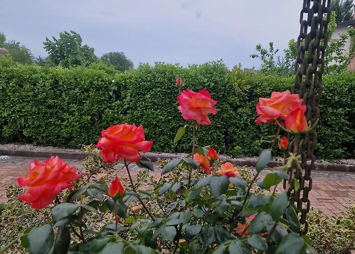 Villa Annamaria Cassino