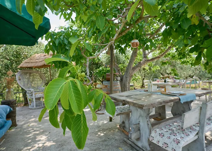 OlioeAlloro B&B San Vincenzo