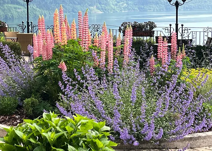 Hotel Miralago Molveno