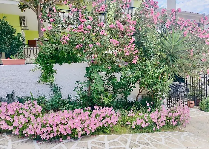 Hotel Alexandra'S House Città di Skiathos