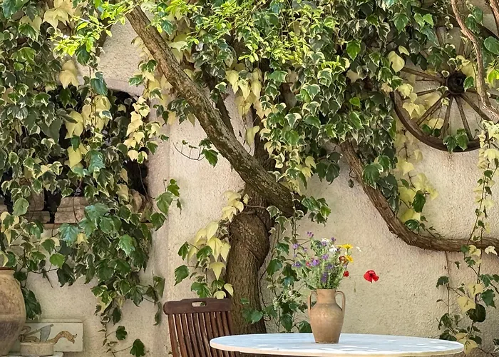 Le Foglie Di Acanto Lucera