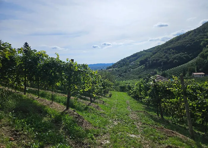 Bed and Breakfast Le Zitelle di Ron Valdobbiadene