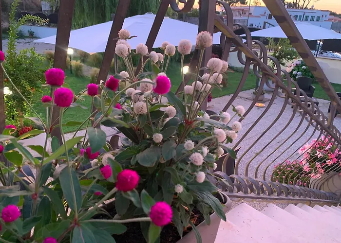 Euphoria Guest House San Felice Circeo