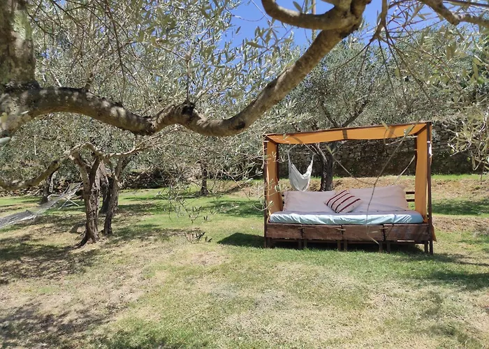 Appartamento La Casa Tra Gli Ulivi Cortona