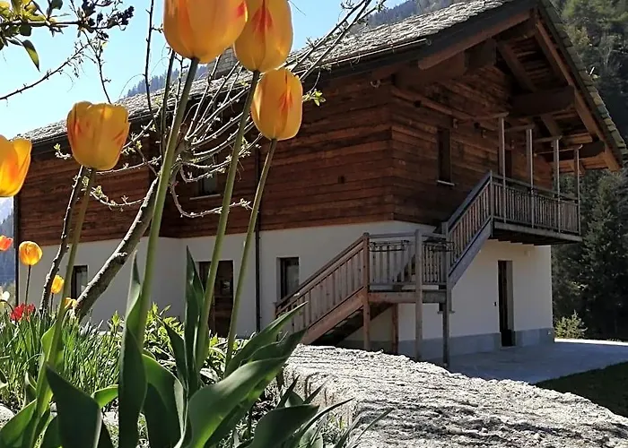 B&B Lorelei Gressoney-Saint-Jean