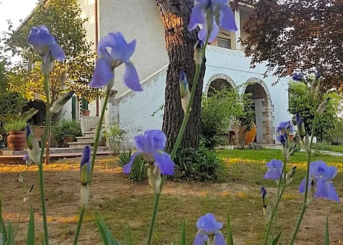 MeraVilla Ascoli Piceno