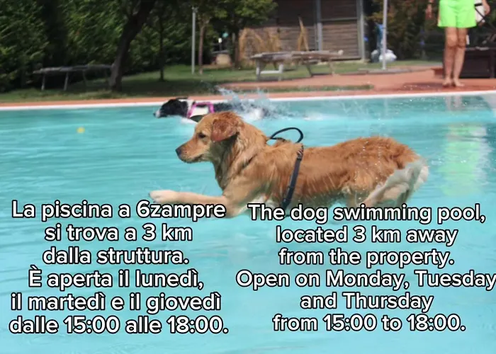 Pet Hotel Virginia - Hotel per cani Rimini