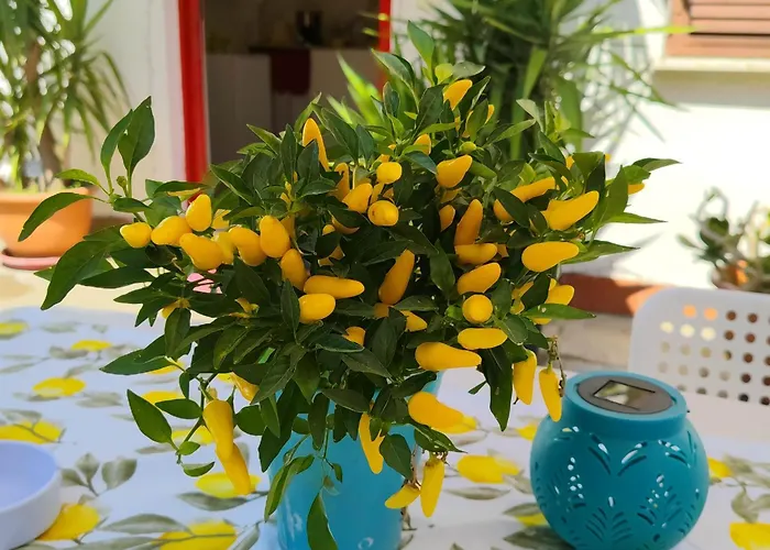 Giallo Limone B&B Salerno