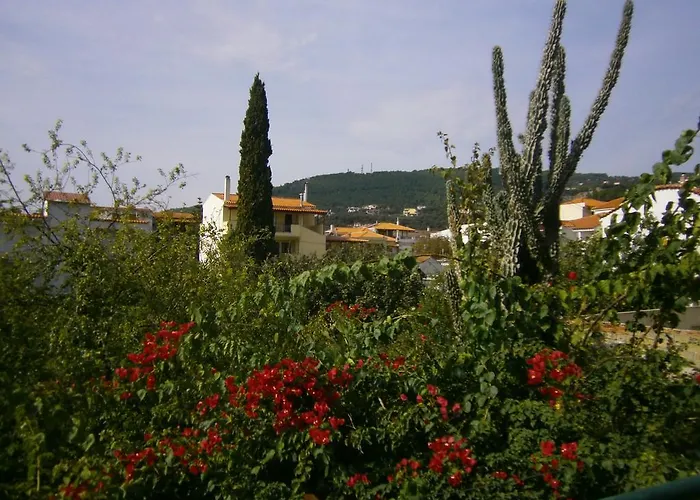 Hotel Pansion Chrisa Città di Skiathos