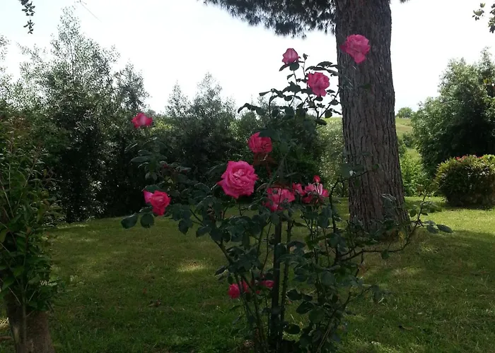 Bed and Breakfast La Finestra Sul Cortile Pomezia