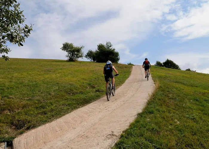 Picchio affittacamere Comano Terme