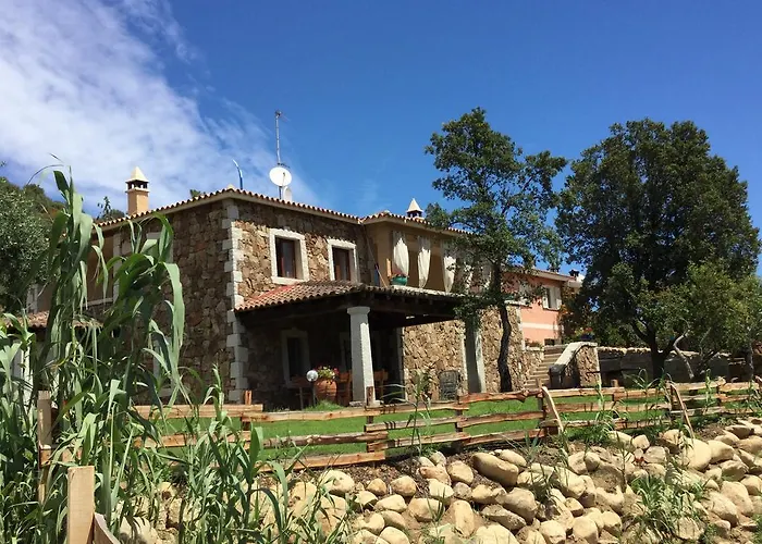 Bed and Breakfast Il giardino di Daniela San Teodoro 