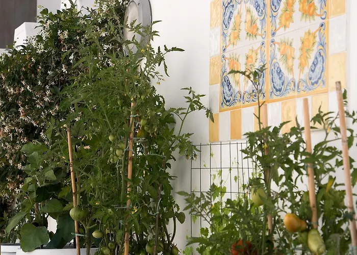Villa Pollio Guest House Anacapri 