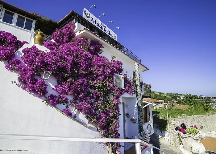 Hotel Magnolia Casamicciola Terme
