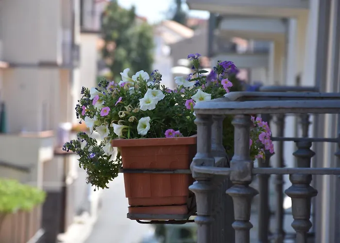 Hotel Risorgimento Agerola