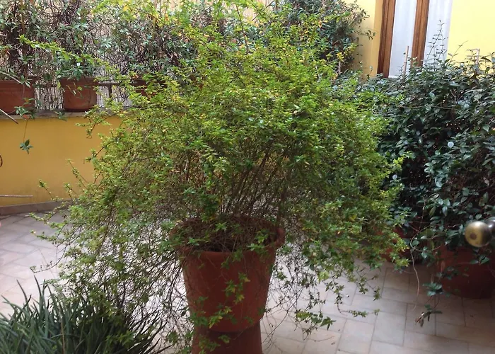 Hotel Canada Firenze