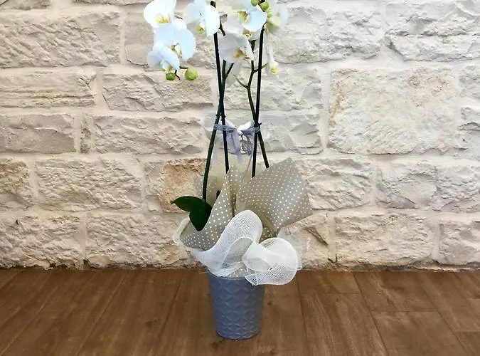 B&B Sant'Agostino Giovinazzo