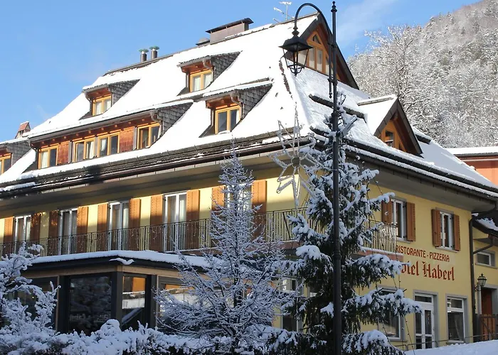 Hotel Haberl Tarvisio