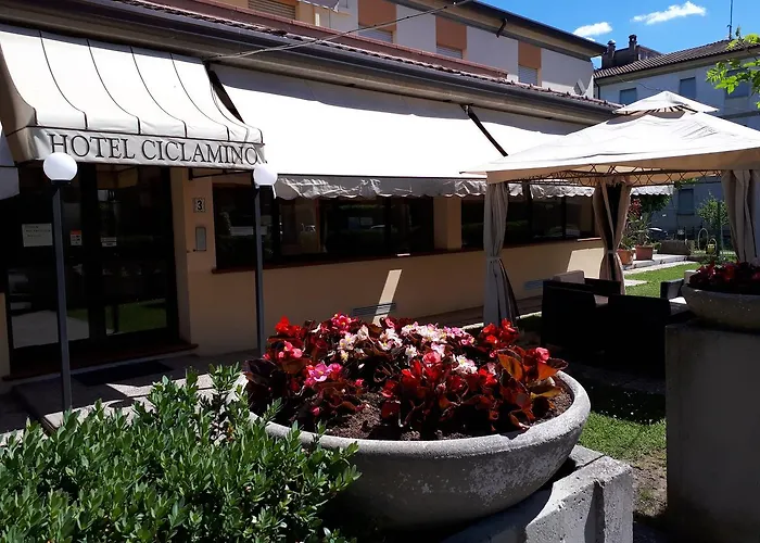 Hotel Ciclamino Riolo Terme