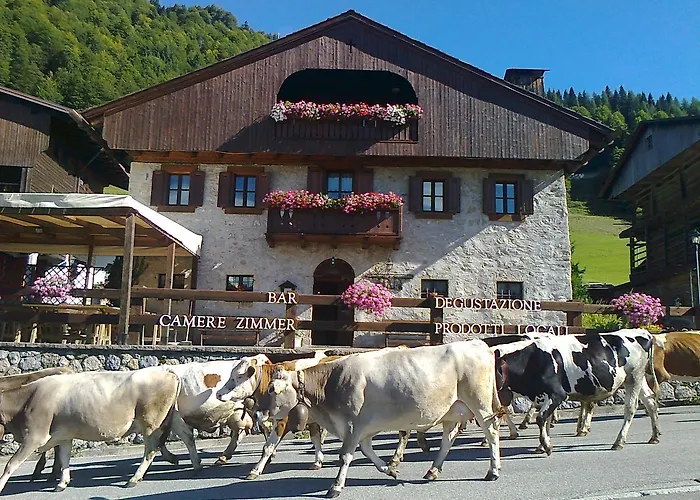 Albergo Pa' Krhaizar Sauris