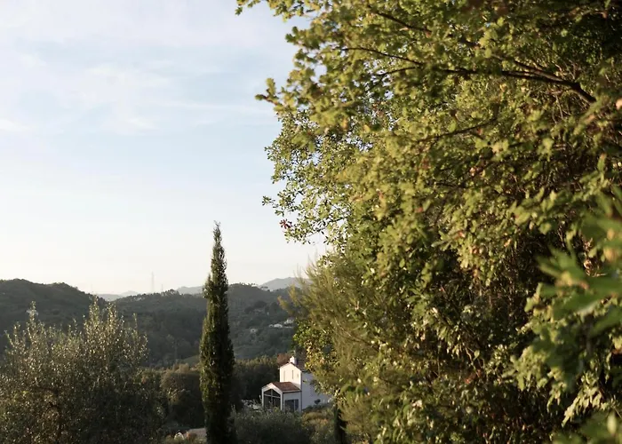 B&B La Fustaia Sarzana