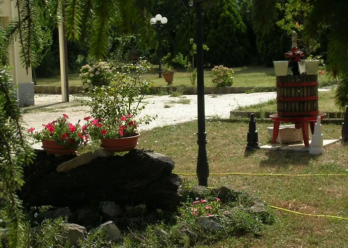 Guest house Il Nido Velletri