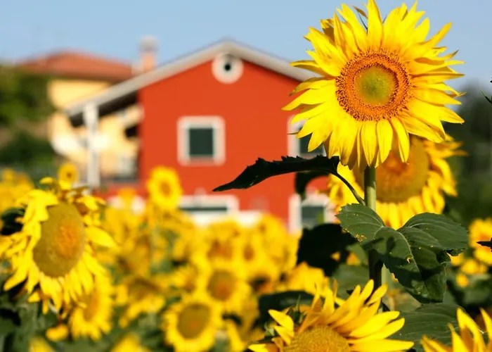 B&B Doremi Osimo
