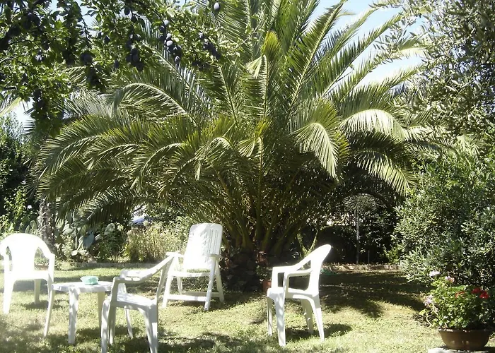 Bed and Breakfast Il Boschetto Porto SantʼElpidio