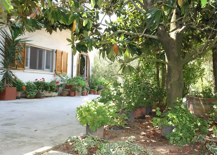 Bed and Breakfast Il Boschetto Porto SantʼElpidio