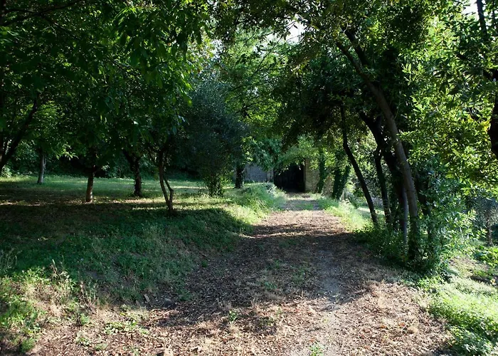 La Foresteria del Convento SantʼArcangelo di Romagna