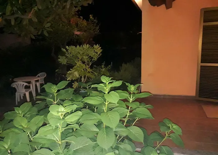 Hotel New Life Carrara