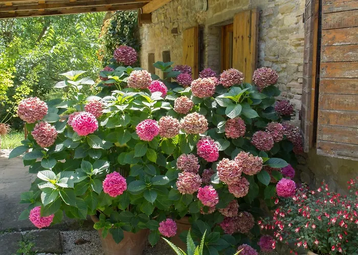 Casa La Valle Bed and Breakfast Gubbio