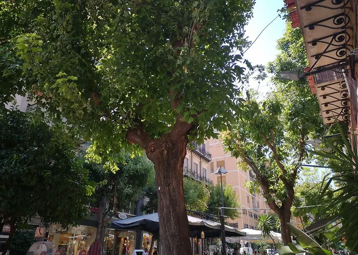 Bed and Breakfast La Casa Dolce Palermo