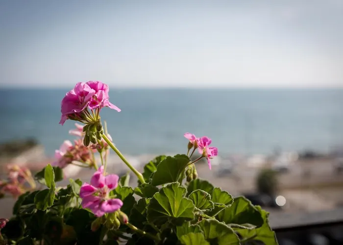 Bed and Breakfast Salsedine Sea View Salerno