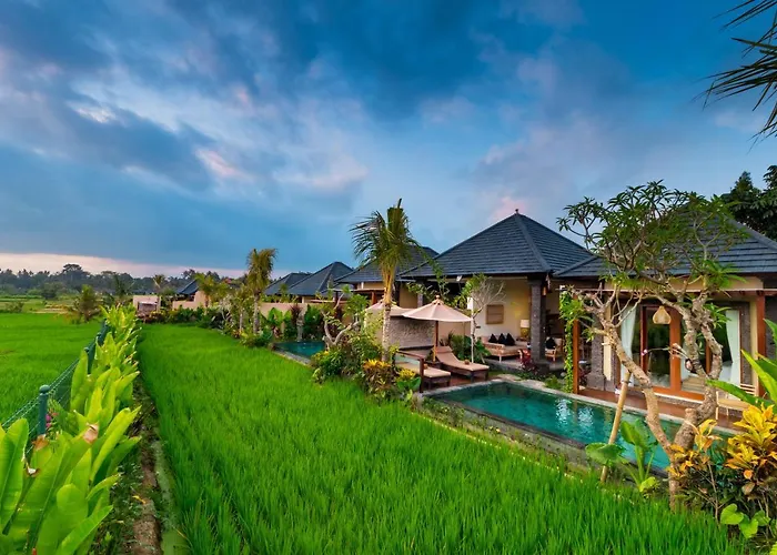 Bliss Ubud Spa Resort